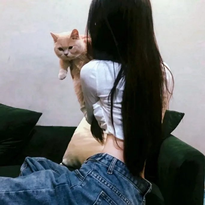 猎头行动