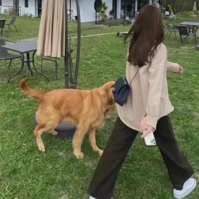 黑色福音